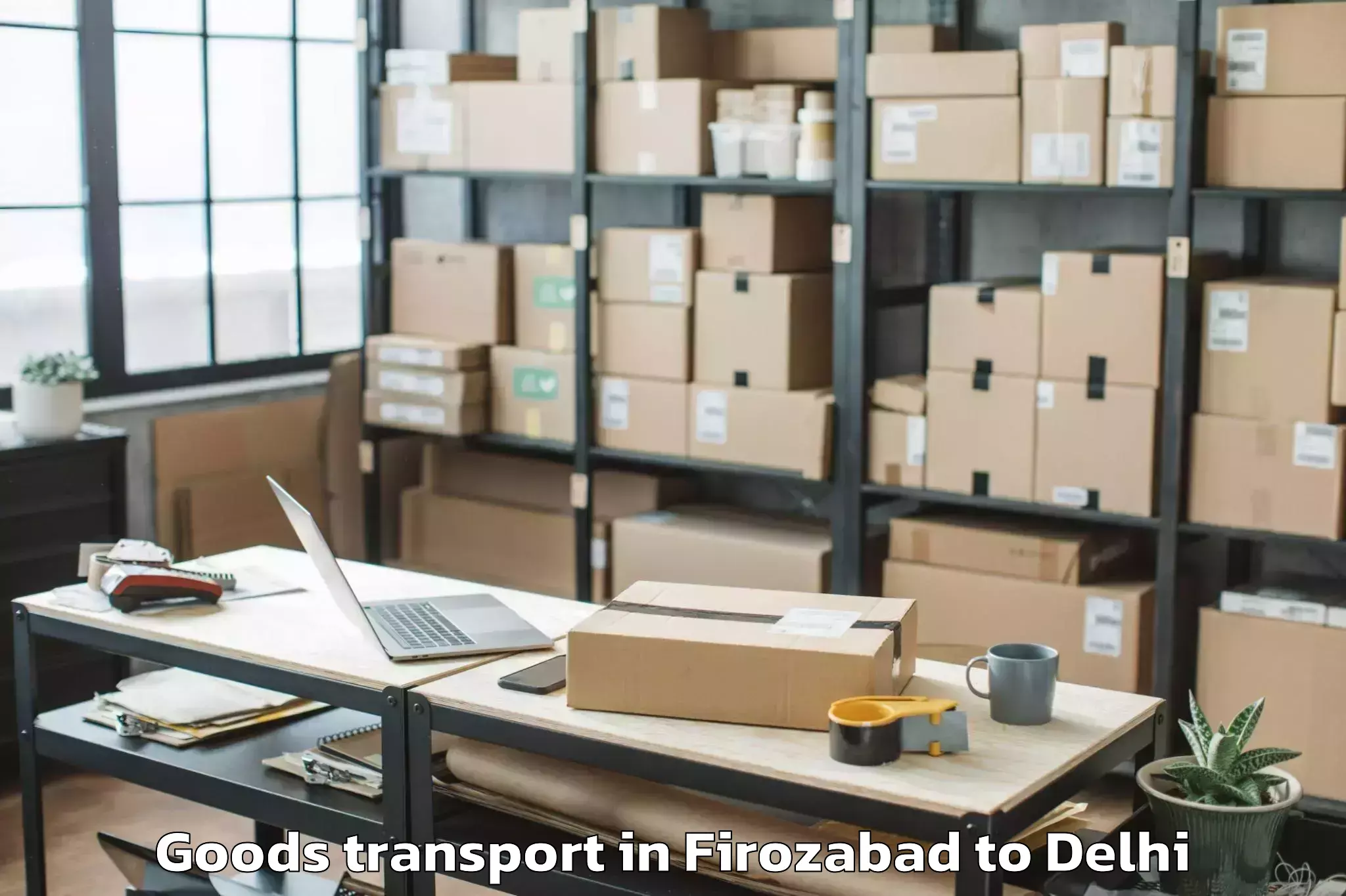 Professional Firozabad to D Mall Rohini Goods Transport